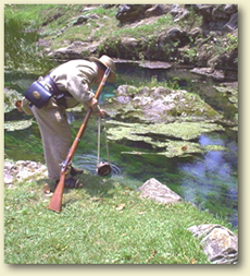 Crawfish Spring -- site of the main Federal Army hospital complex during the battle of Chickamauga.